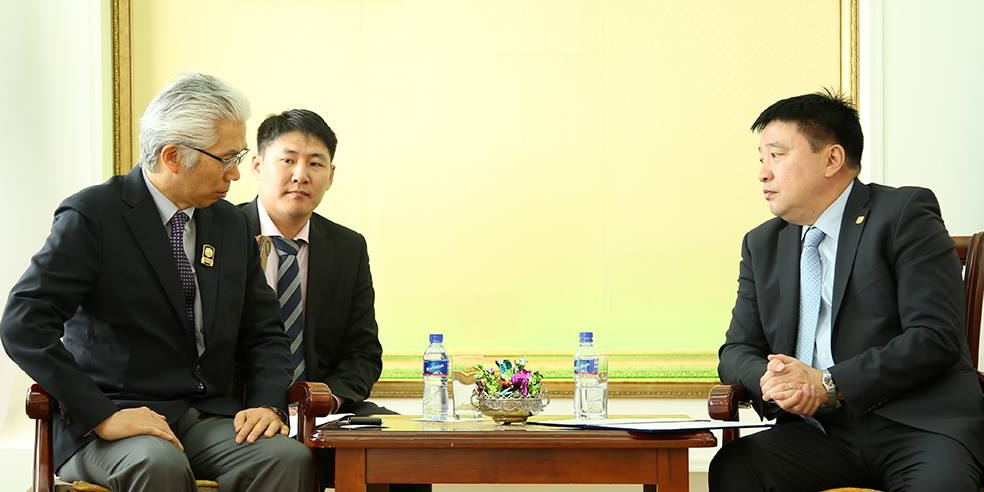 Бүсгүй таньд ямар төрлийн хөмсөгний шивээс зохих вэ?